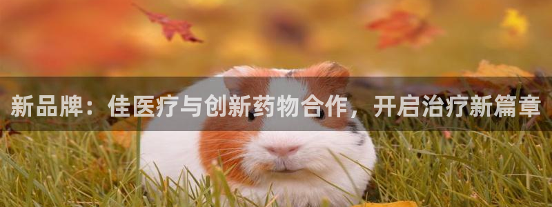 彩名堂免费计划官网怎么进不去了呀