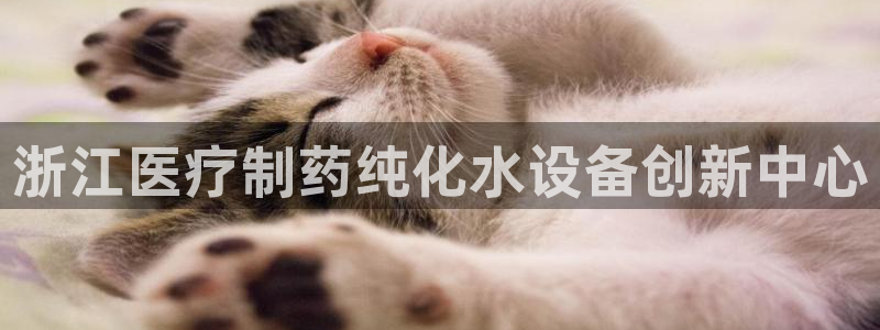 下载彩名堂预测计划软件安卓