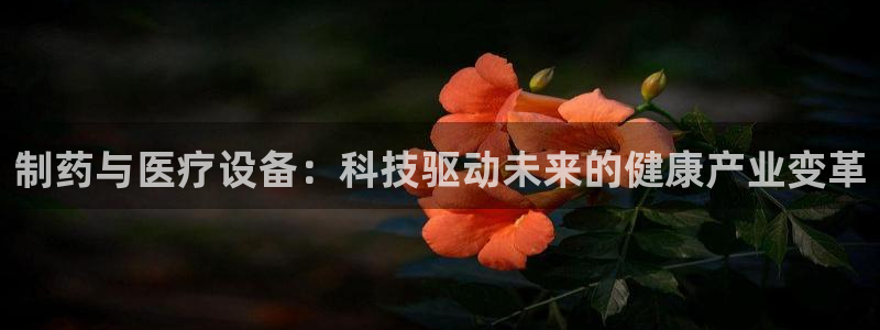 彩名堂怎么不能用了