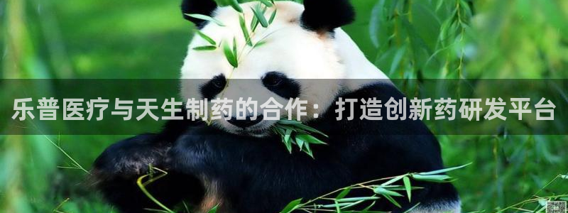 彩名堂免费计划官网怎么进不去了呢
