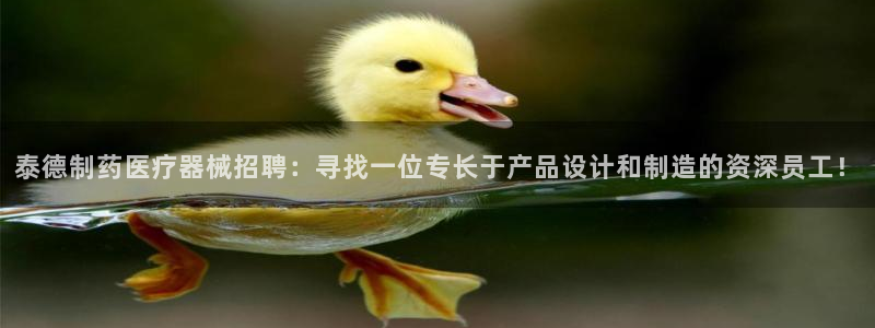 彩名堂计划app安卓免费下载