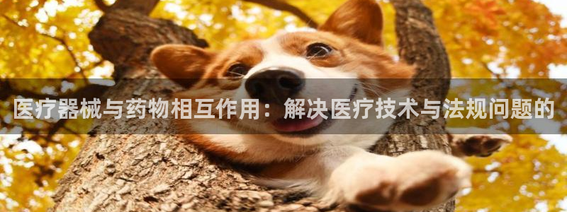 彩名堂跟哪种最好用