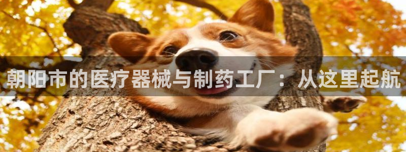 彩名堂客户端是永久免费吗是真的吗