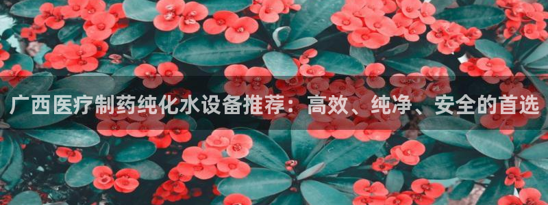彩名堂5.0