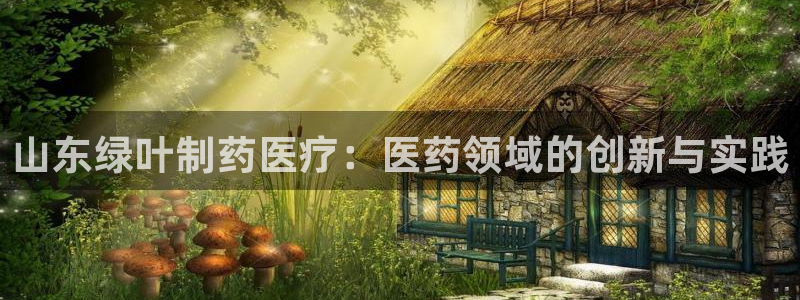 彩名堂官网网页计划