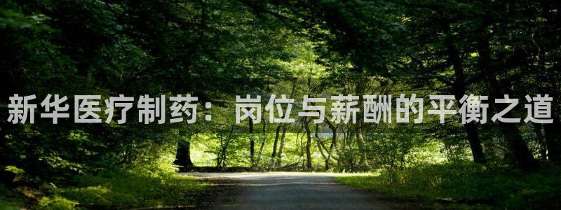 为什么彩名堂今天不能用