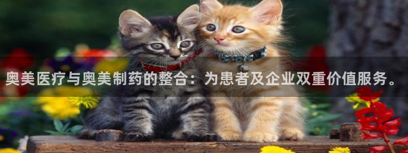 彩名堂预测软件与分析