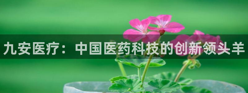 彩名堂不能用了吗
