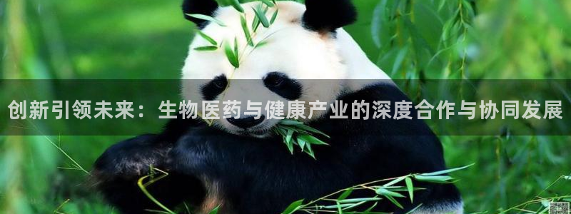 彩名堂免费计划下载
