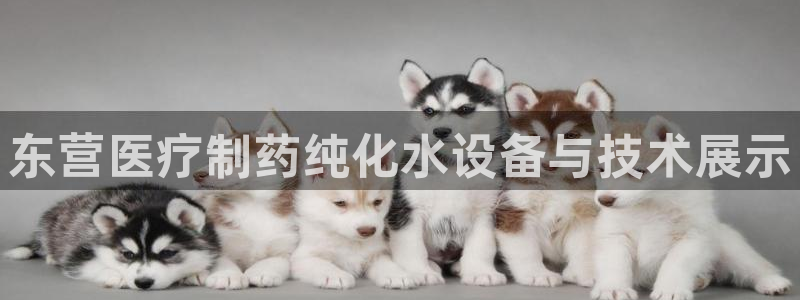 彩名堂一直不出结果怎么回事呀