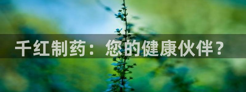 彩名堂免费计划下载