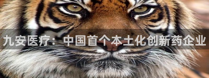 彩名堂怎么打不开了