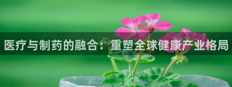 彩名堂怎么不能用了