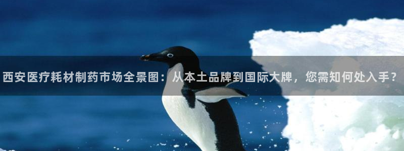 彩名堂免费计划官网购彩计划