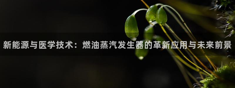 彩名堂一直不出结果怎么回事