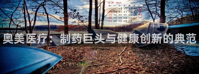 彩名堂人工计划怎么找不到下载了?