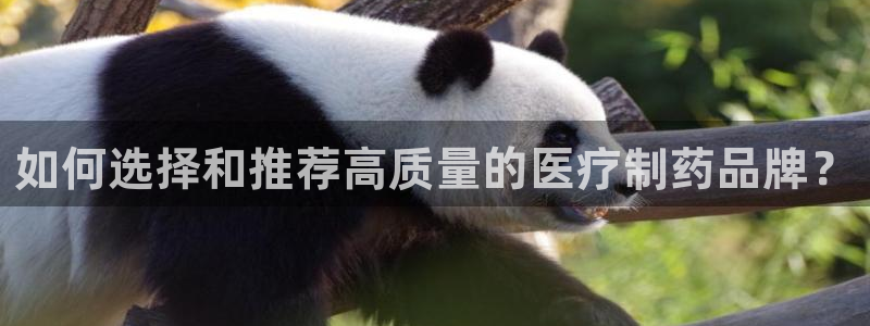正规彩名堂官网计划01
