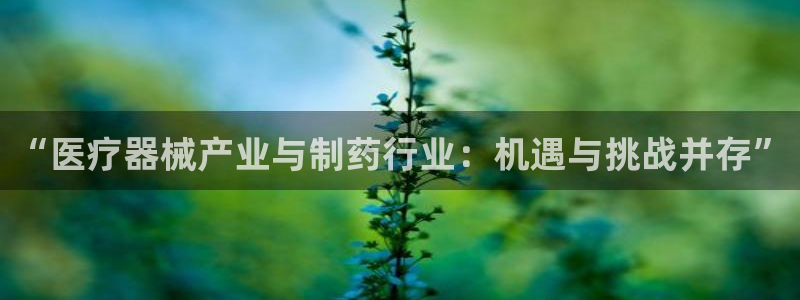 彩名堂计划真的准吗