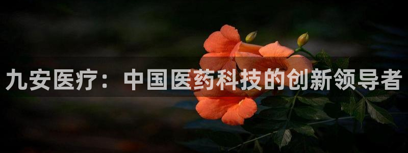 彩名堂怎么打最稳