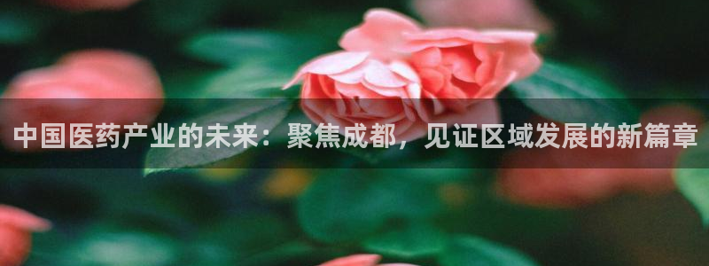 彩名堂合作655560