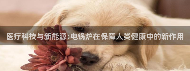 彩名堂免费计划官网5.0app
