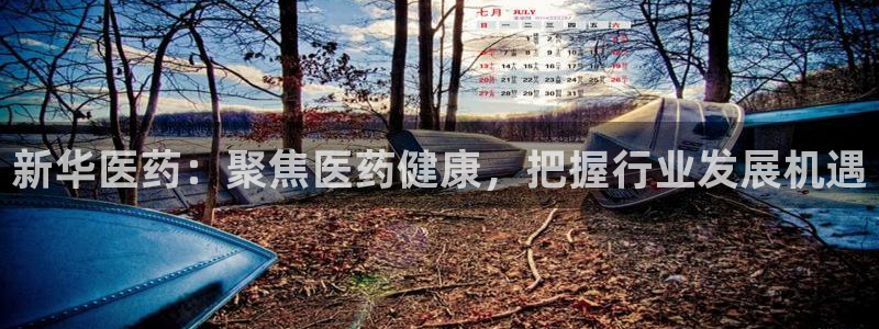 彩名堂幸运飞船计划