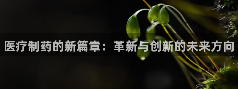 彩名堂01计划