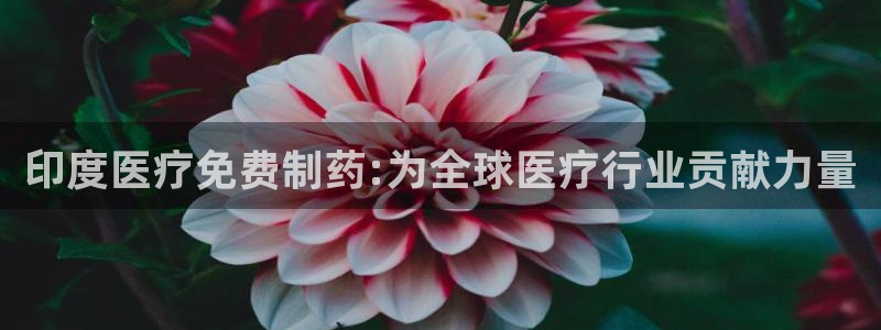 彩名堂计划app安卓免费下载