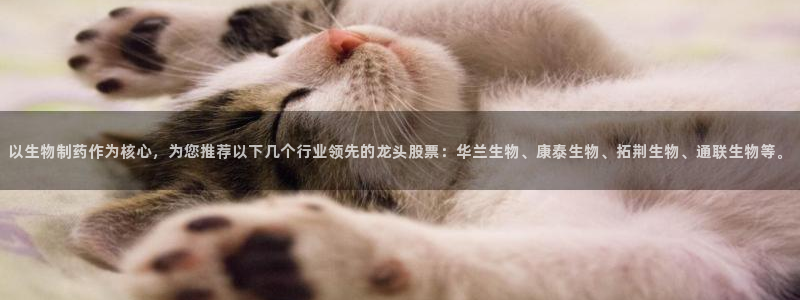 彩名堂好用还是千里马好用