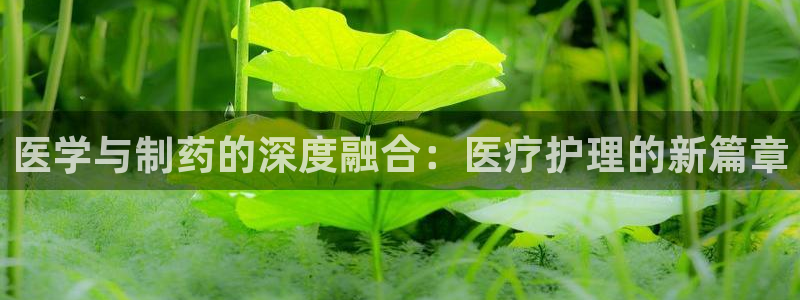彩名堂上推荐的几个平台怎样