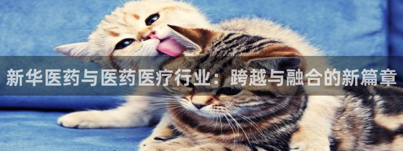 彩名堂使用方法和用量