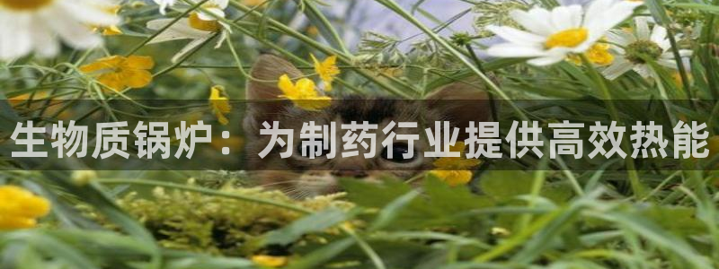 彩名堂客户