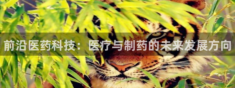 彩名堂怎么跟计划才不连挂