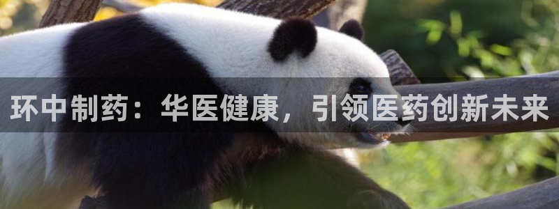 老版本彩名堂计划软件