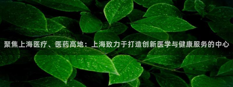 彩名堂免费计划官网50