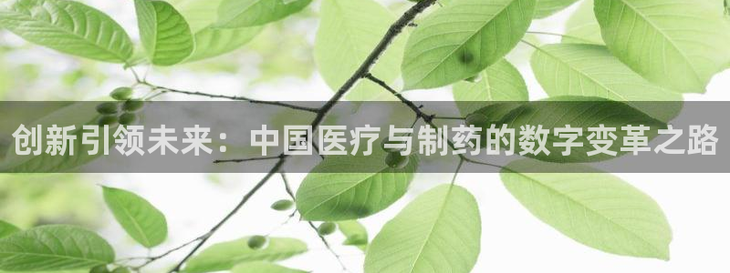 彩名堂图片
