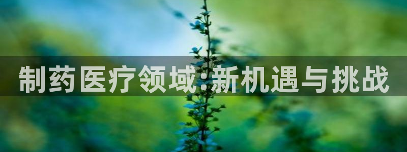 彩名堂双彩网