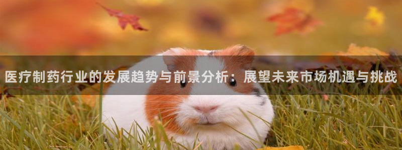 彩名堂免费计划官网怎么进不去了呀
