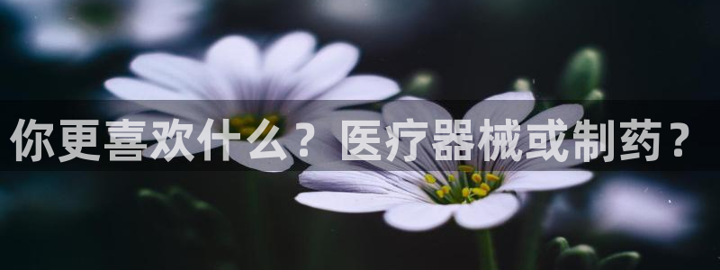 彩名堂预测免费计划
