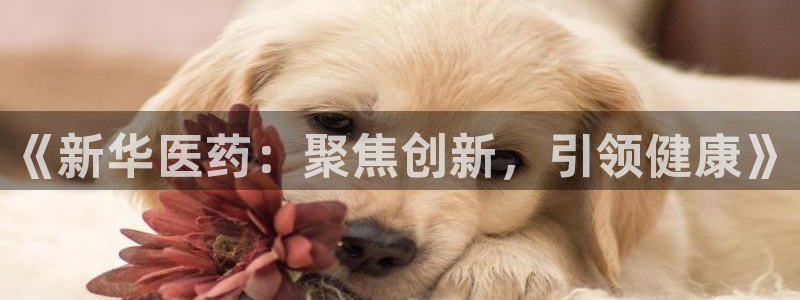 彩名堂计划技巧有哪些