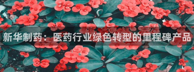 彩名堂预测免费计划app-彩名堂预测免费