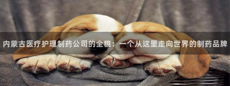 彩名堂移动客户端是什么