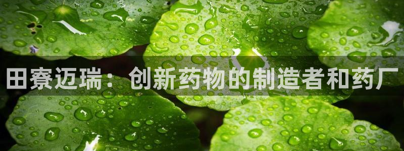 正规彩名堂官网计划01