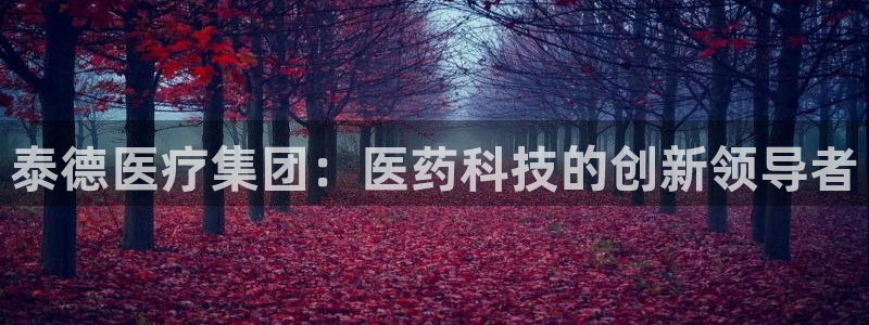 彩名堂官网网页计划